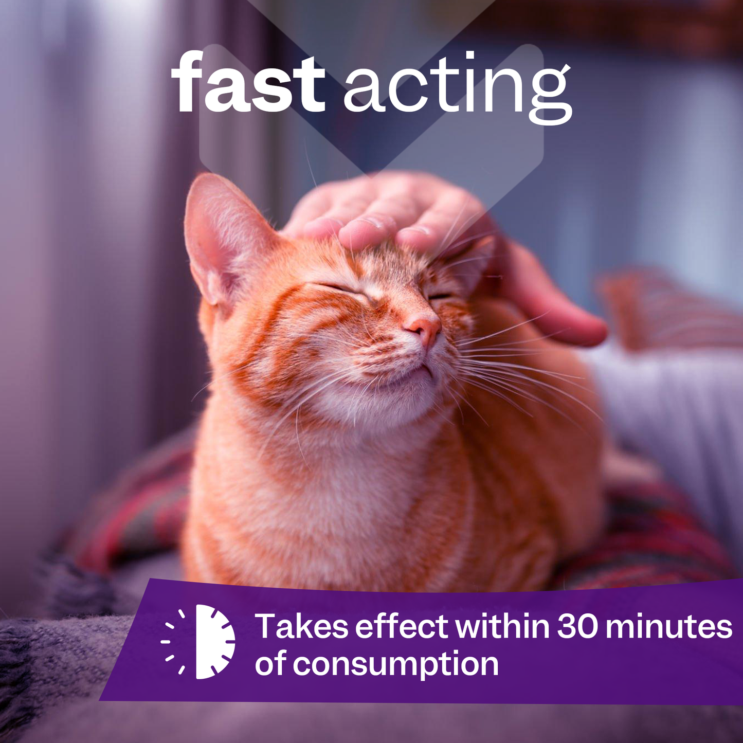 ZaniPro Cat Calming Drops