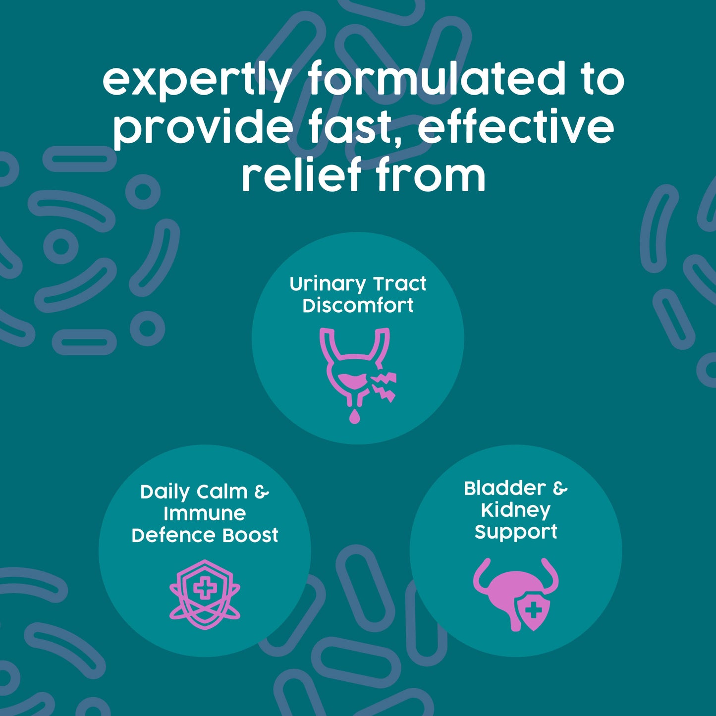 ProKopp Urinary Tract Infection Treatment for Dogs & Cats – Herbal Kidney & Bladder Support Drops, Prevent Incontinence & Bladder Stones | 50ml