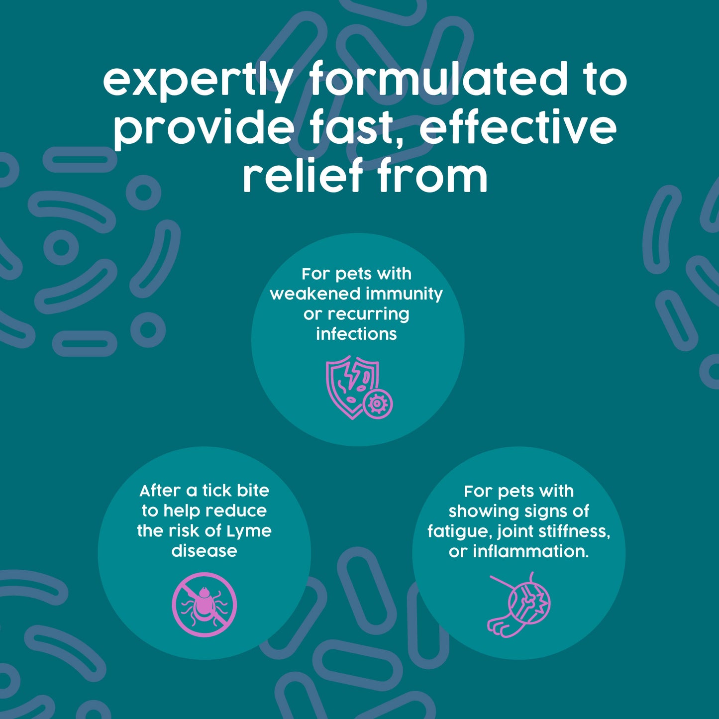 ProTum Expert Flea & Lyme Treatment for Dogs – Herbal Antimicrobial Cure for Lyme & Tick Symptoms, Intensive Root Cause Support | 50ml