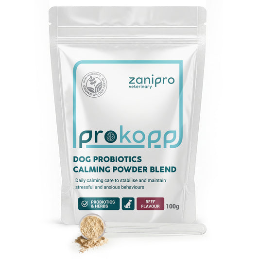 Dog Calming Powder – Natural Anxiety & Stress Relief – Beef Flavour (100g)