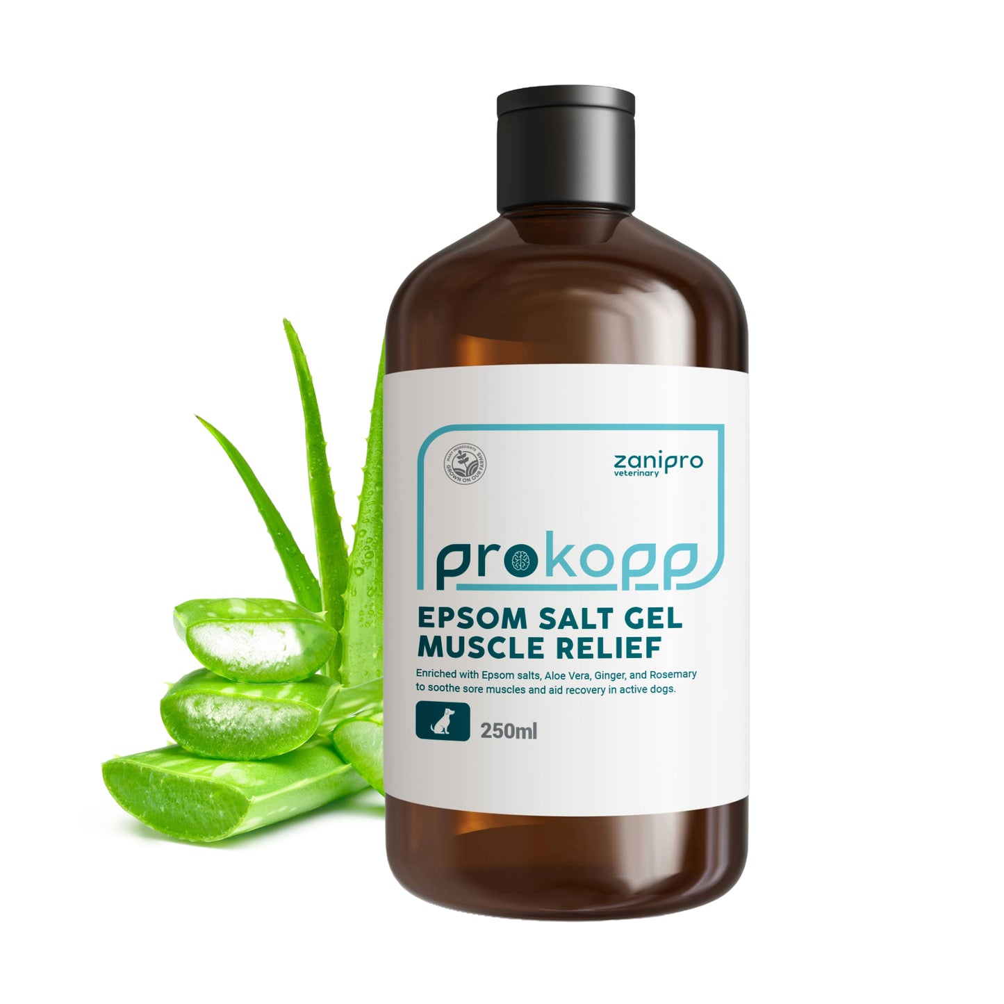 Aloe Vera Gel for Dogs – Itchy Skin, Muscle & Joint Comfort (250ml)