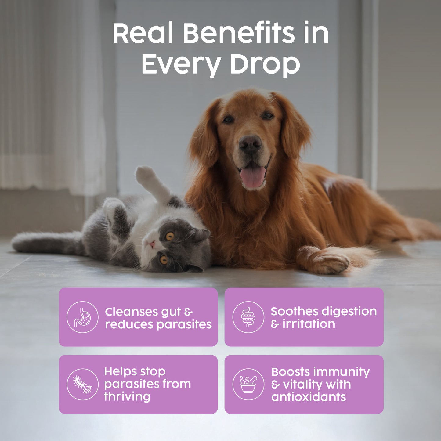 Wormwood Drops for Dogs & Cats – Natural Liquid Wormer (50ml)