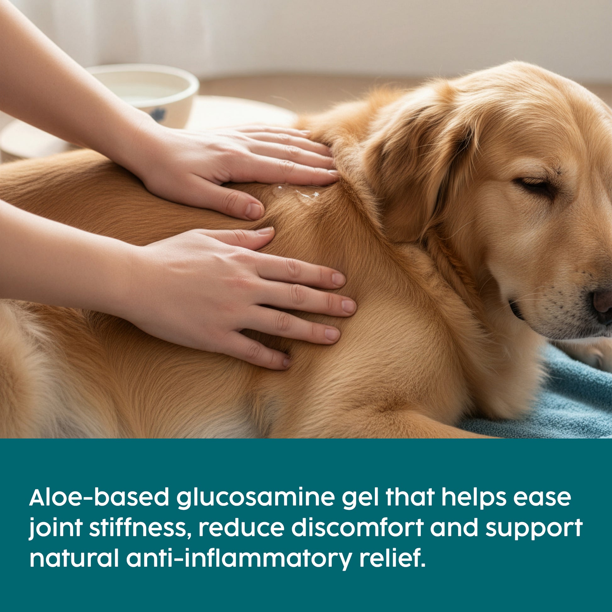 Person petting a golden retriever with text about aloe-based glucosamine gel benefits.