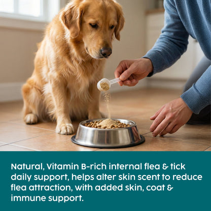 Zanipro Natural Tick & Flea Support Powder for Dogs | Thiamine & Brewer’s Yeast | 100g