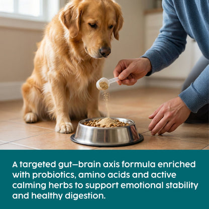 Dog Calming Powder – Natural Anxiety & Stress Relief – Beef Flavour (100g)