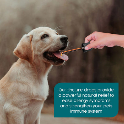 ProKopp Itchy Dog Skin Relief – Natural Herbal Anti-Itch Treatment for Dogs & Cats, Allergy & Skin Irritation Support | 50ml