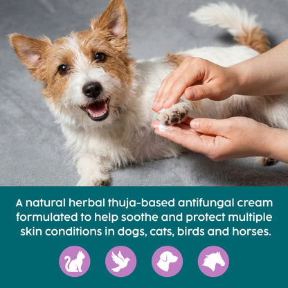 Dog being petted by a person with text about a natural herbal antifungal cream for pets.