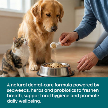 Dental Powder for Dogs & Cats – Natural Plaque & Breath Support (100g)