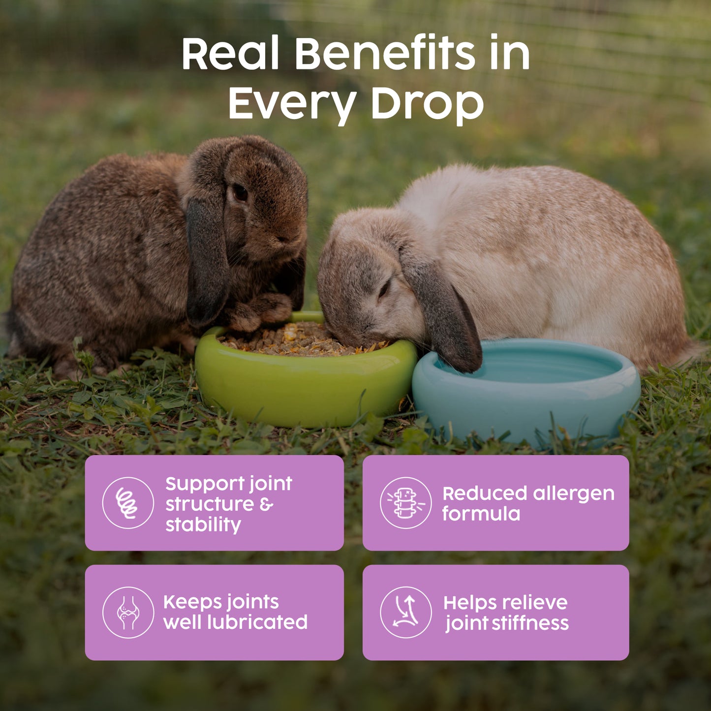 Joint Supplement Drops for Rabbits & Small Animals – Glucosamine & MSM (30ml)