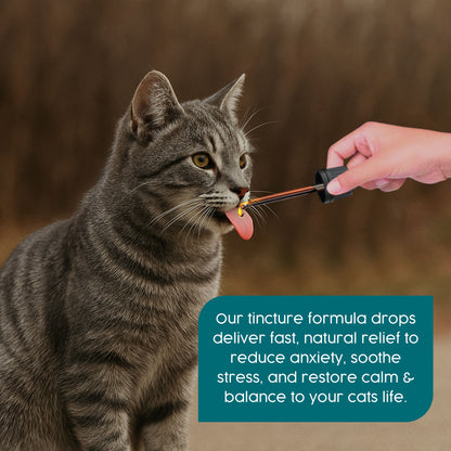 ProKopp Cat Calming Drops – 100% Herbal Anxiety & Stress Relief for Cats, Travel, Grooming & Fireworks | 50ml