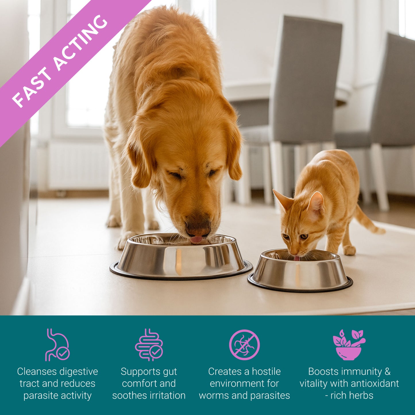 ProTum Wormwood Drops for Dogs & Cats – Natural Liquid Wormer | 50ml