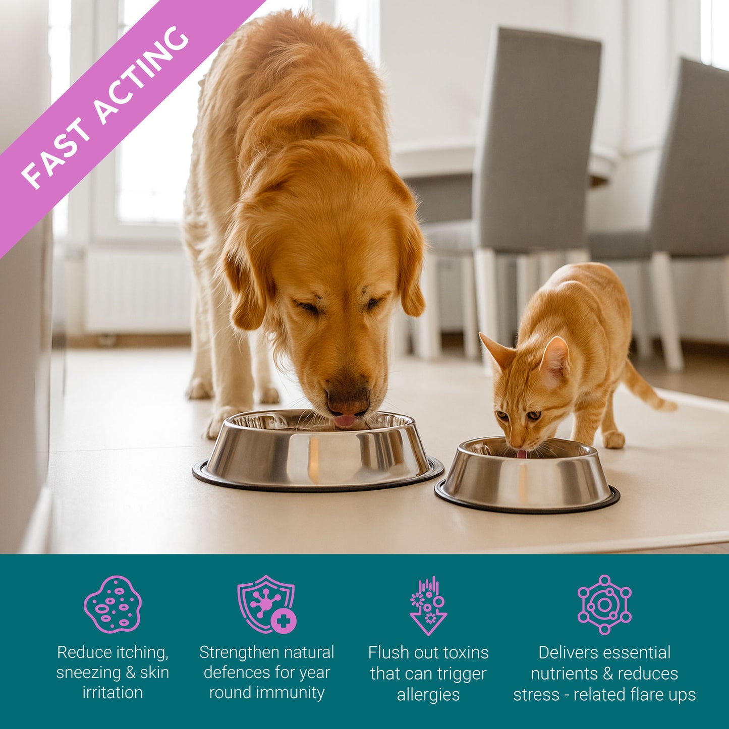 ProKopp Itchy Dog Skin Relief – Natural Herbal Anti-Itch Treatment for Dogs & Cats, Allergy & Skin Irritation Support | 50ml