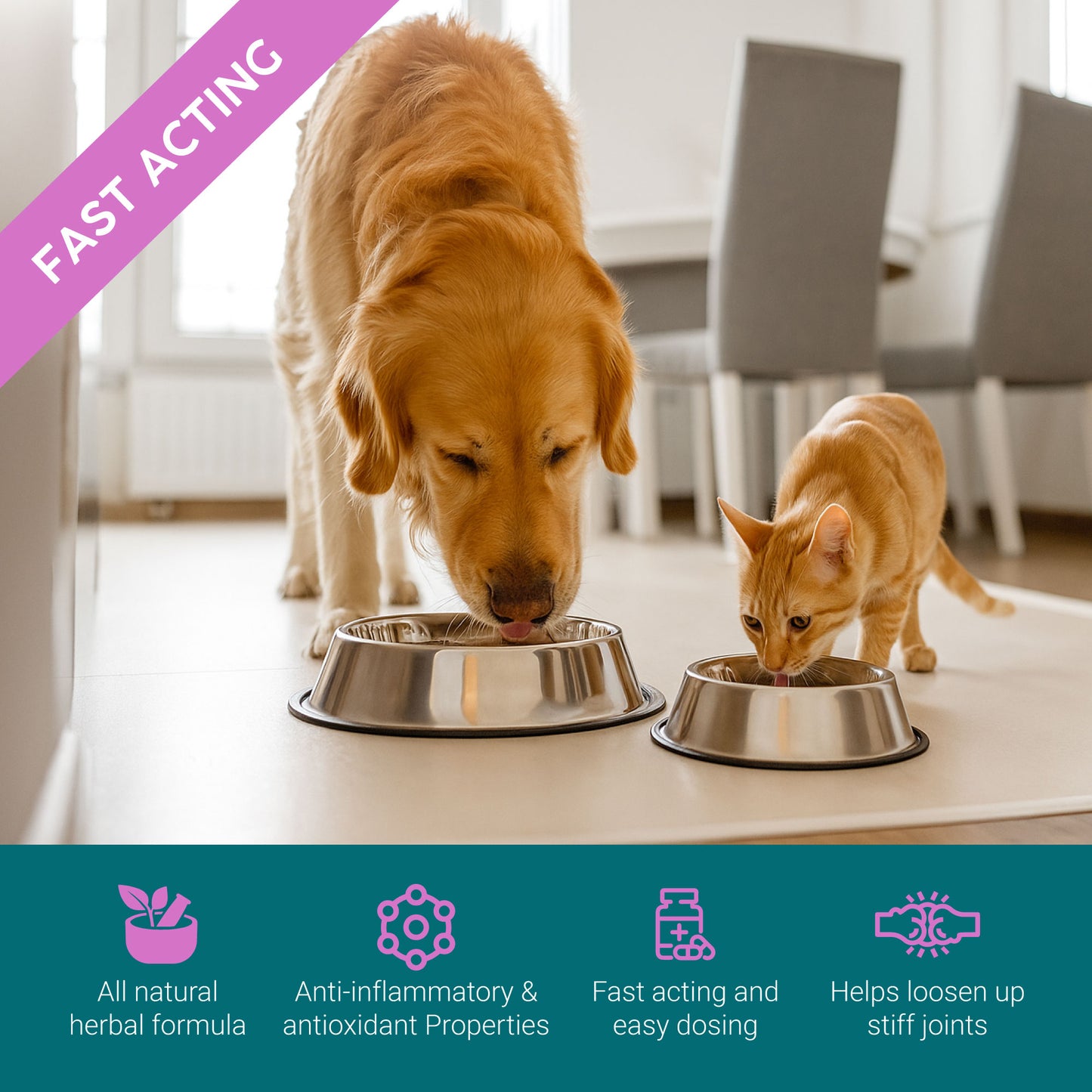 ProKopp Joint Supplements for Dogs & Cats – Natural Glucosamine & Anti-Inflammatory Pain Relief for Arthritis & Hip Support | 50ml