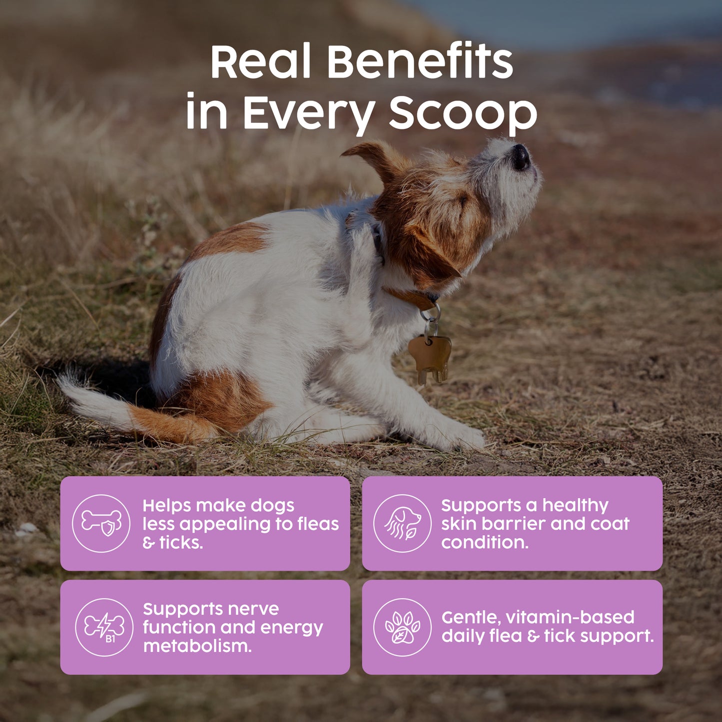 Zanipro Natural Tick & Flea Support Powder for Dogs | Thiamine & Brewer’s Yeast | 100g