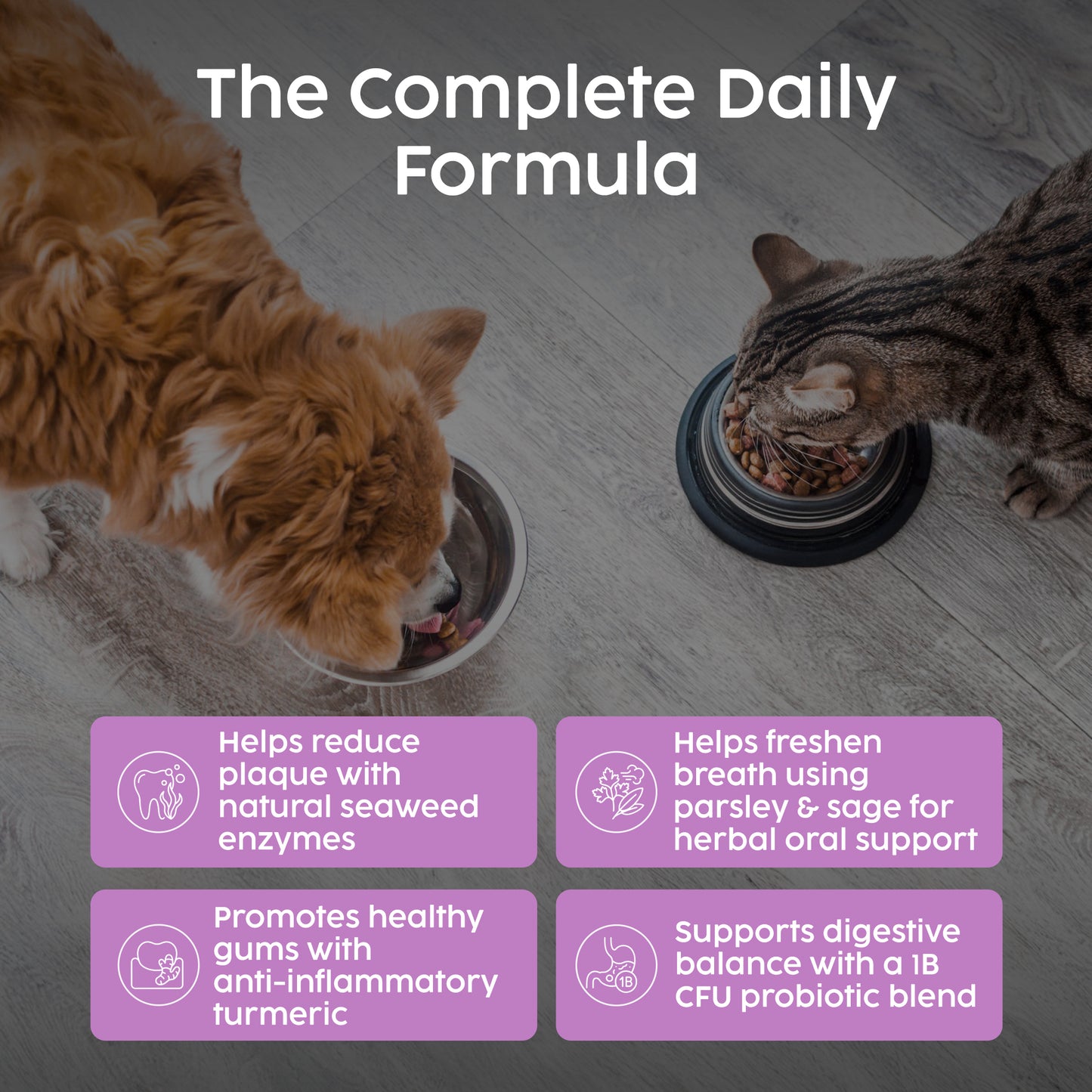 Dental Powder for Dogs & Cats – Natural Plaque & Breath Support (100g)