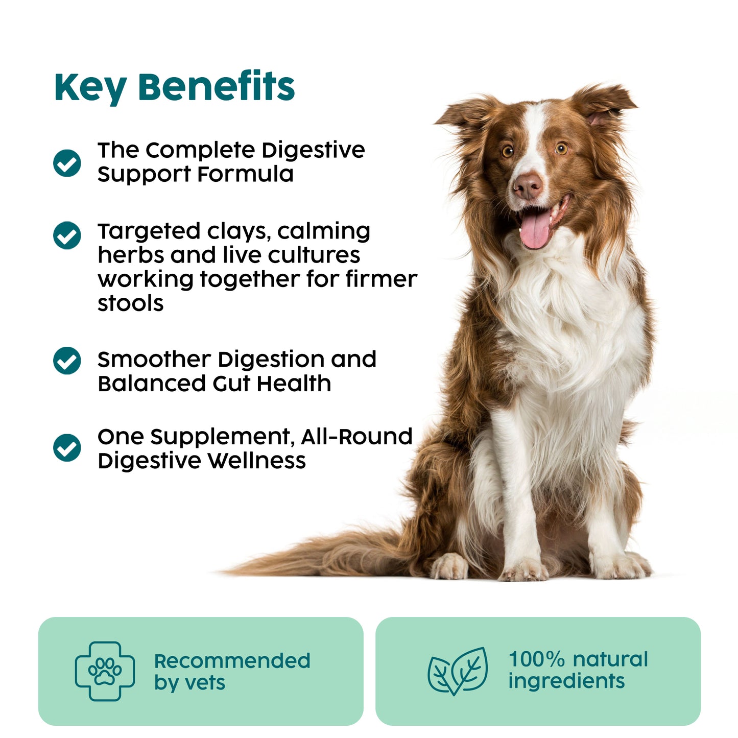 Slippery Elm & Tree Barks Probiotic Powder for Dogs & Cats – Gut & Digestive Support (100g)