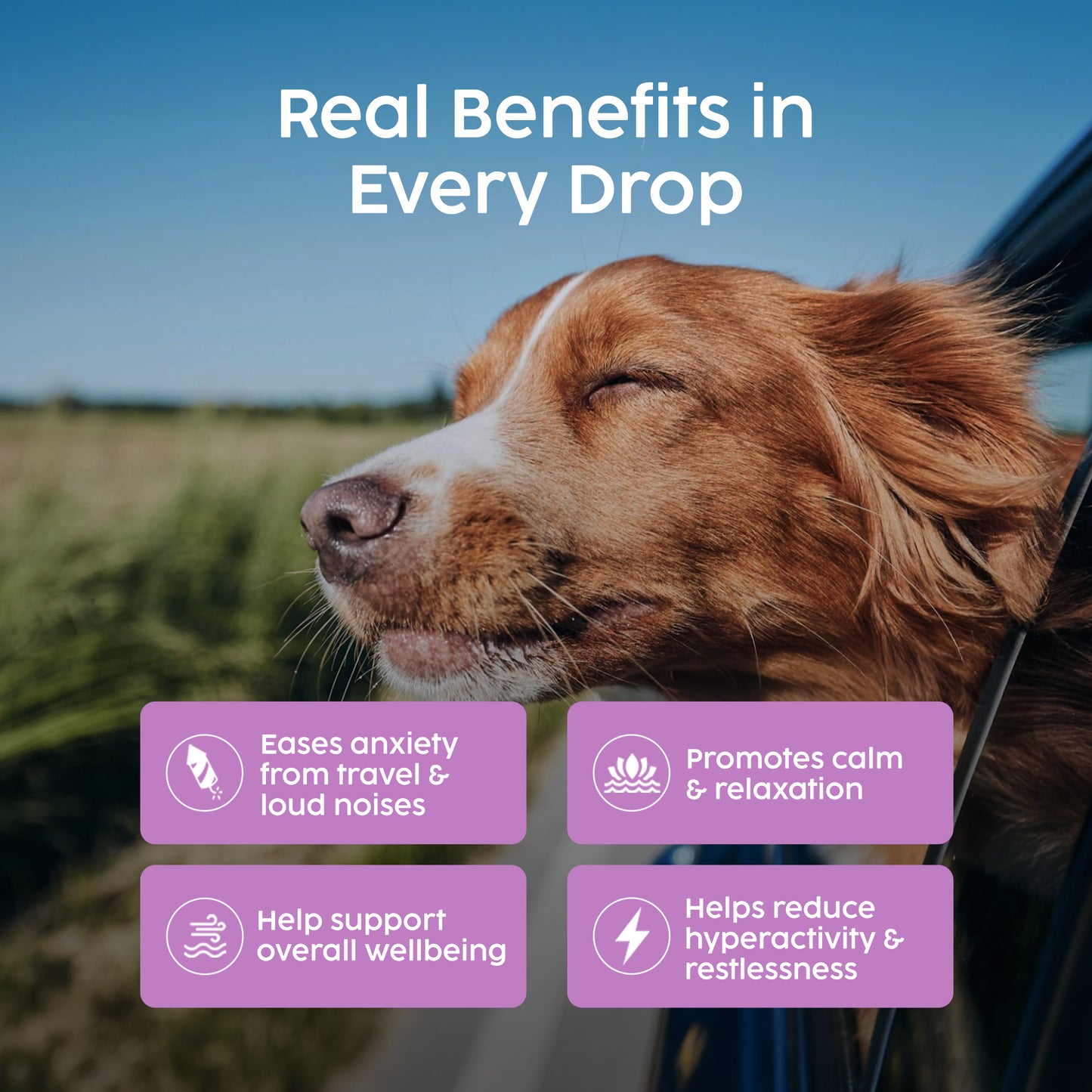 Valerian Calming Drops for Dogs – Herbal Anxiety & Stress Relief (50ml)