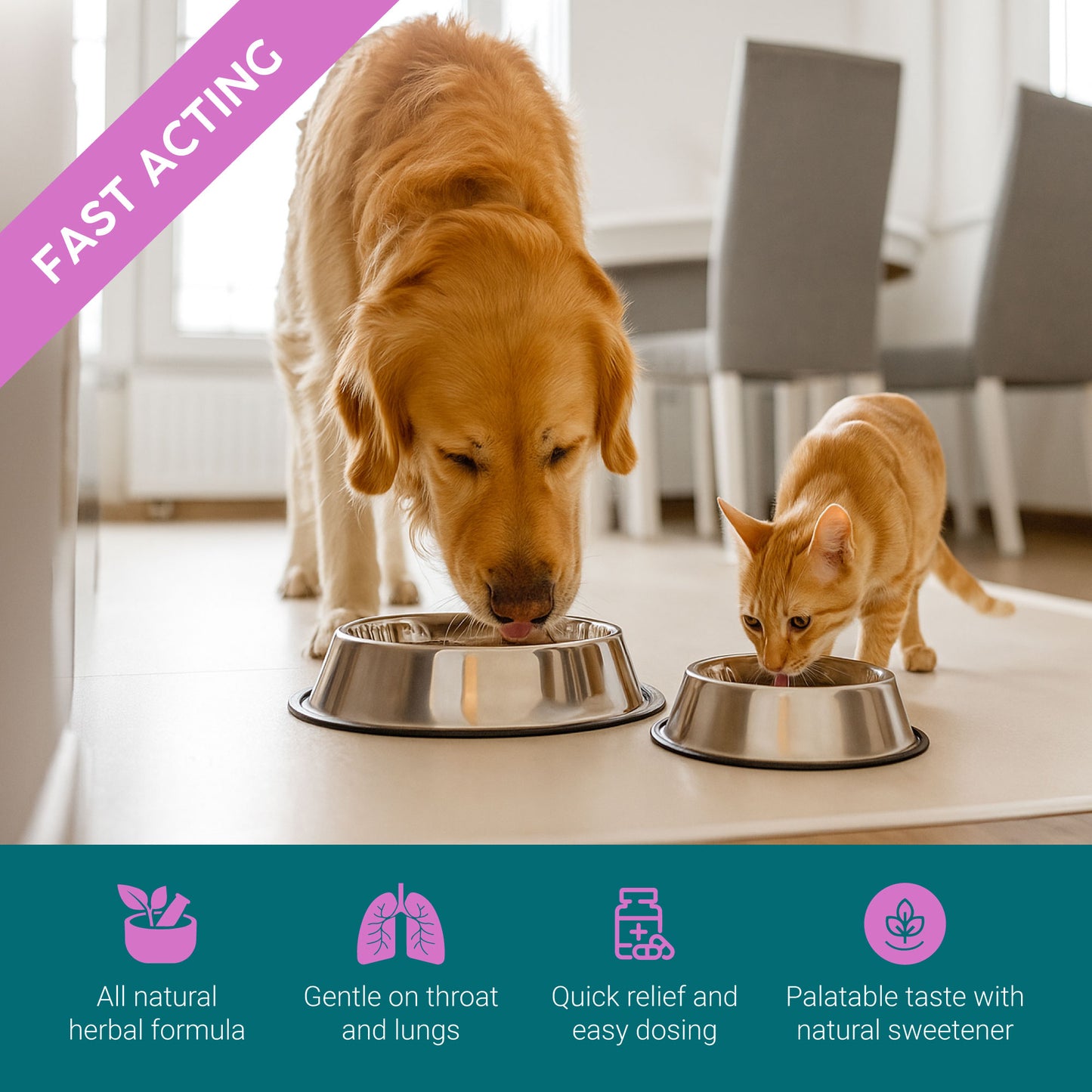 Dog and cat eating from metal bowls indoors with product features listed below.
