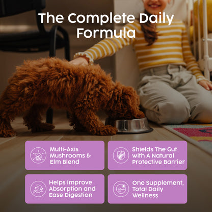Person sitting on the floor with a dog next to a bowl, with text about a 'Complete Daily Formula' supplement.