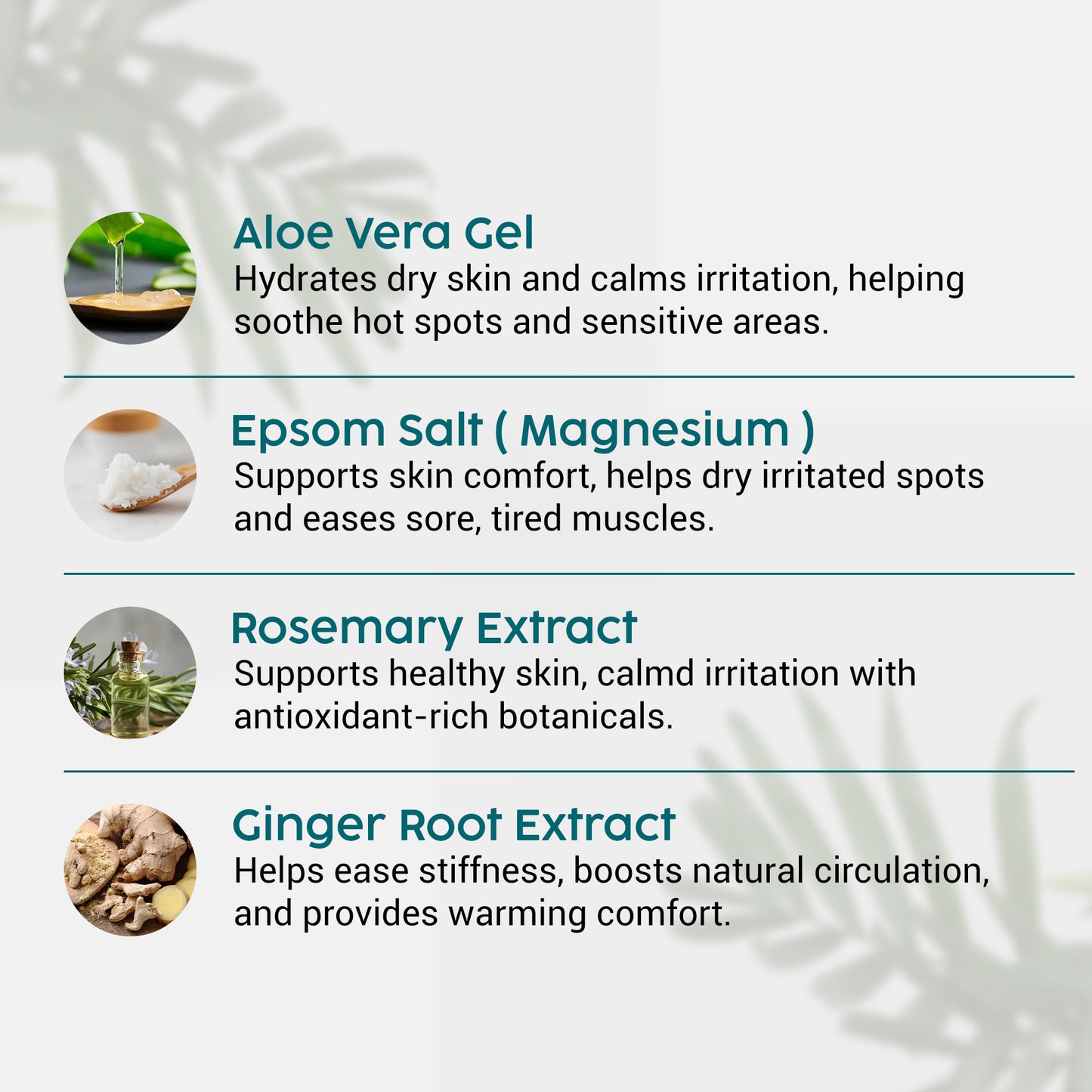 Aloe Vera Gel for Dogs – Itchy Skin, Muscle & Joint Comfort (250ml)