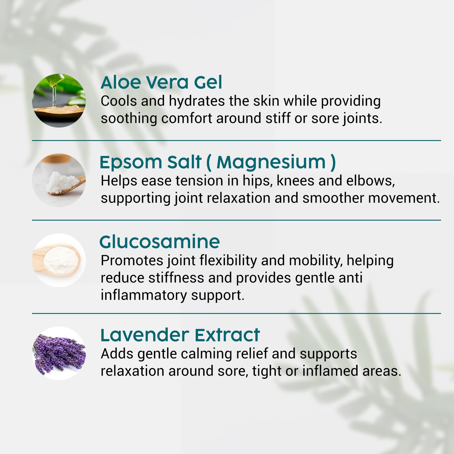 List of ingredients with descriptions on a white background