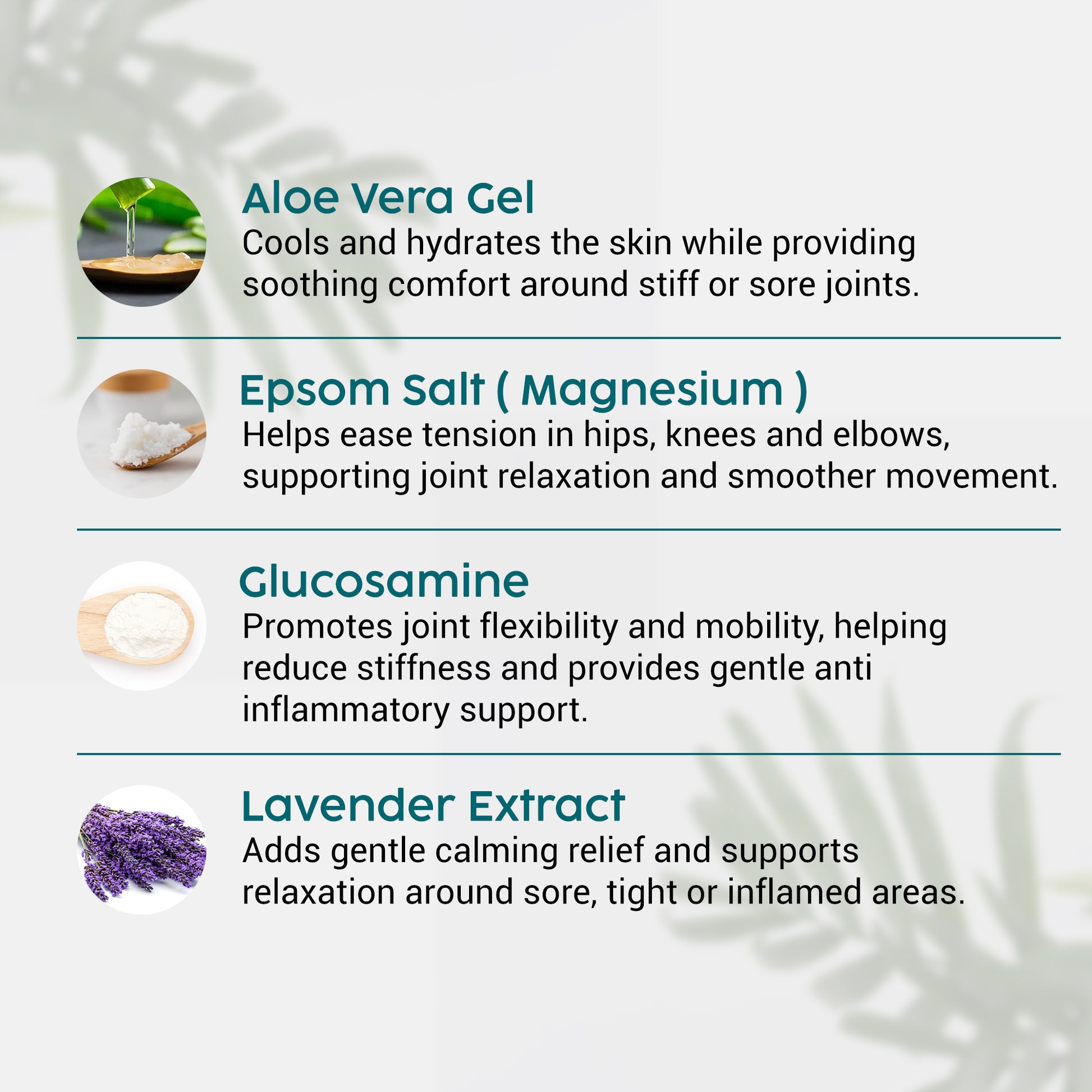 List of ingredients with descriptions on a white background