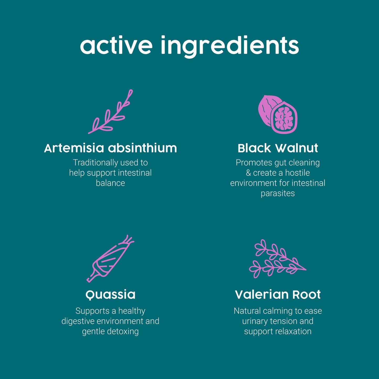 ProTum Wormwood Drops for Dogs & Cats – Natural Liquid Wormer | 50ml