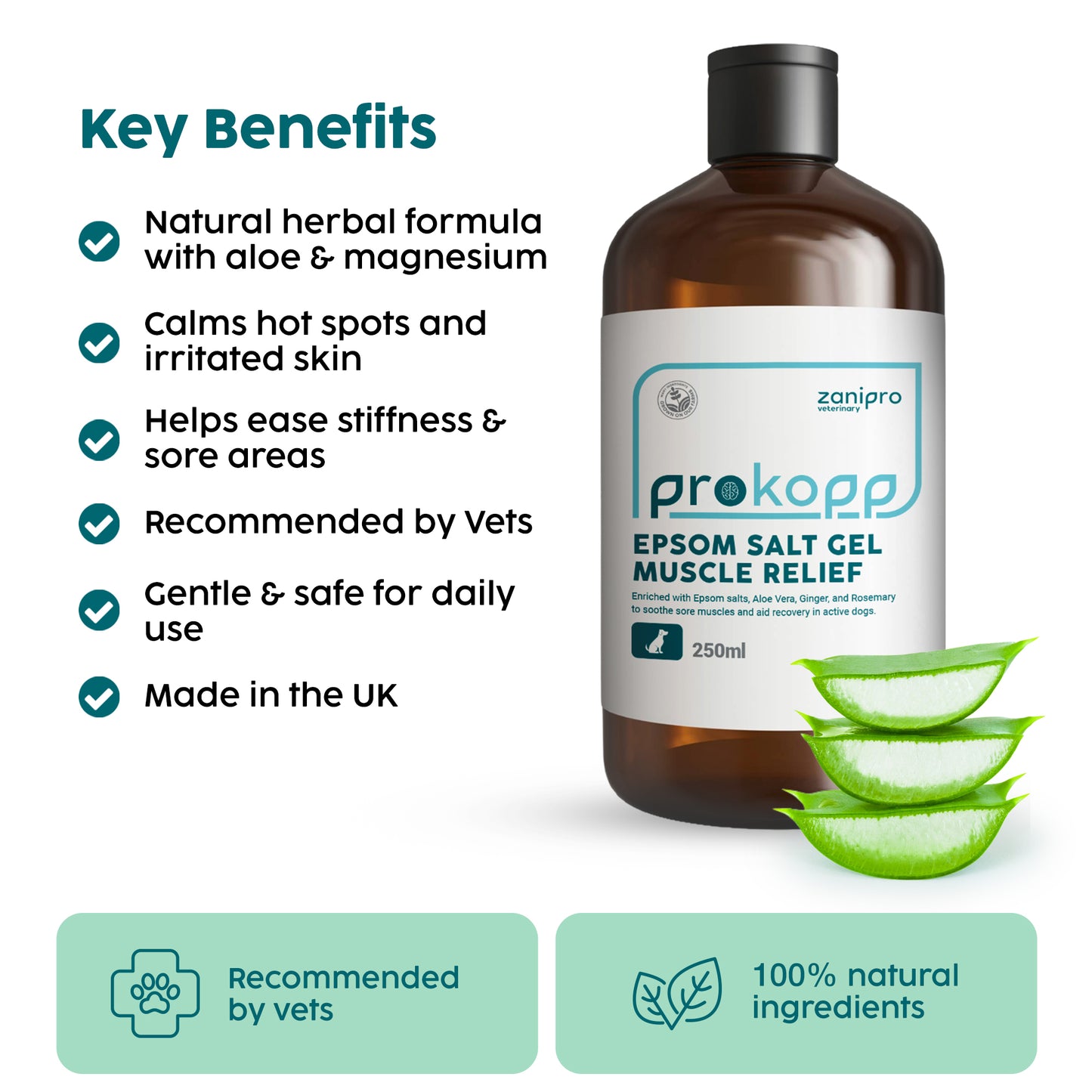 Aloe Vera Gel for Dogs – Itchy Skin, Muscle & Joint Comfort (250ml)