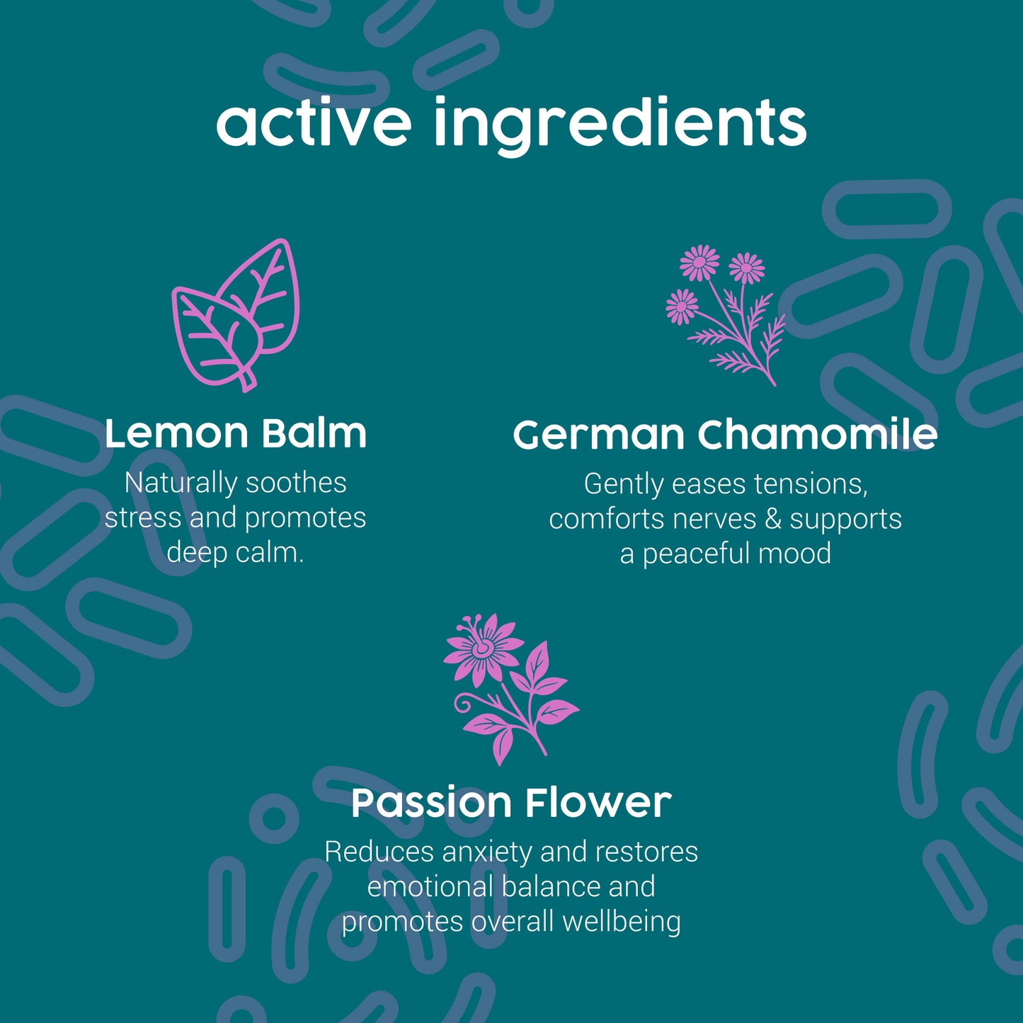 ProKopp Cat Calming Drops – 100% Herbal Anxiety & Stress Relief for Cats, Travel, Grooming & Fireworks | 50ml