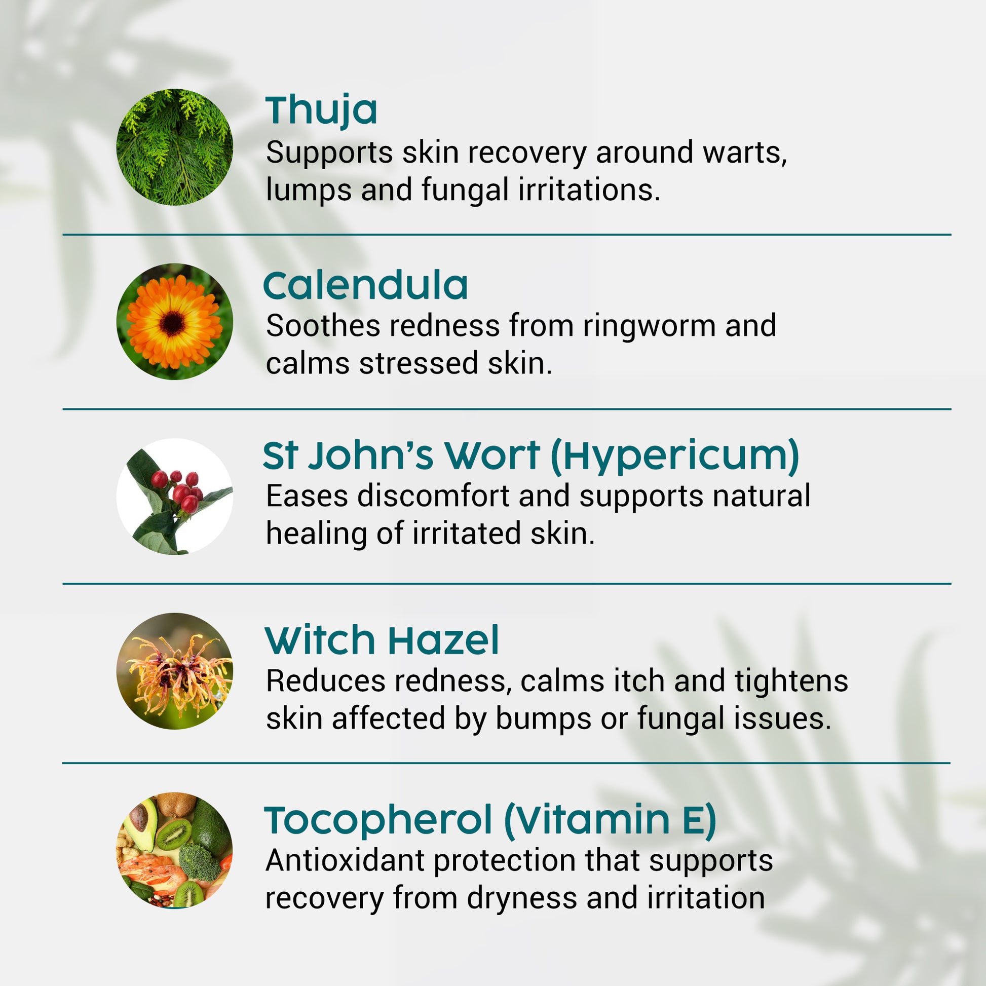 List of natural ingredients with images and descriptions on a white background