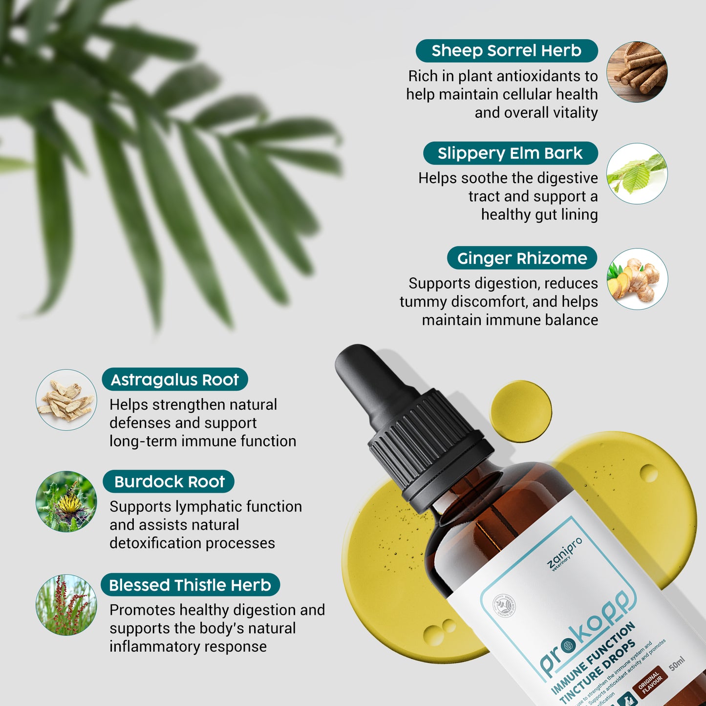 Immune Support Drops for Dogs & Cats – Slippery Elm Digestion & Detox (50ml)