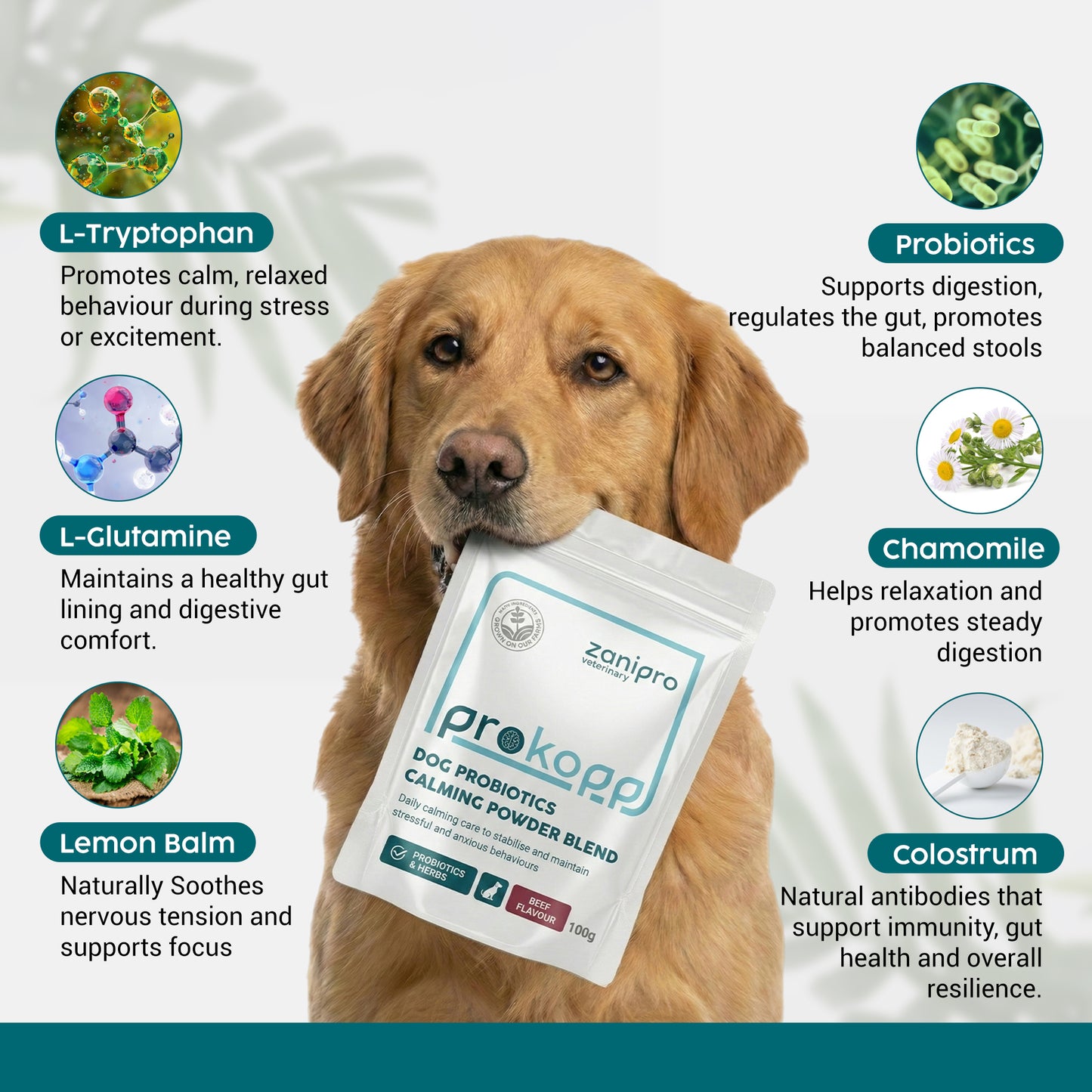 Dog Calming Powder – Natural Anxiety & Stress Relief – Beef Flavour (100g)