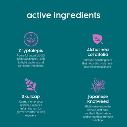 ProTum Expert Flea & Lyme Treatment for Dogs – Herbal Antimicrobial Cure for Lyme & Tick Symptoms, Intensive Root Cause Support | 50ml