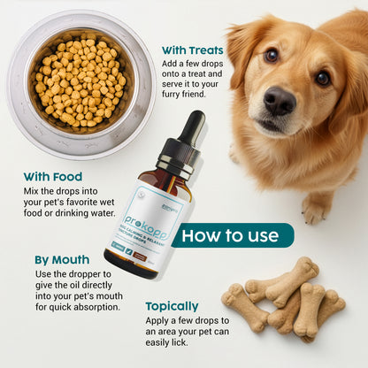 Valerian Calming Drops for Dogs – Herbal Anxiety & Stress Relief (50ml)