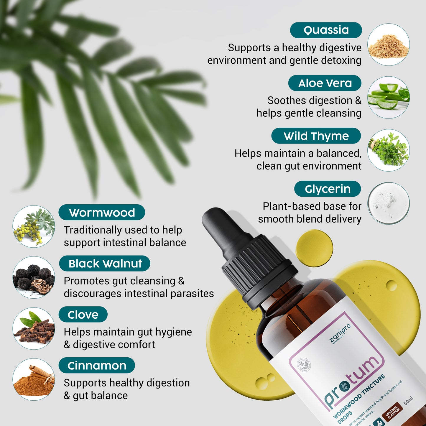 Wormwood Drops for Dogs & Cats – Natural Liquid Wormer (50ml)