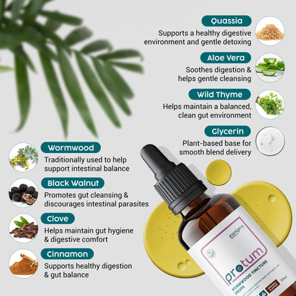 Wormwood Drops for Dogs & Cats – Natural Liquid Wormer (50ml)