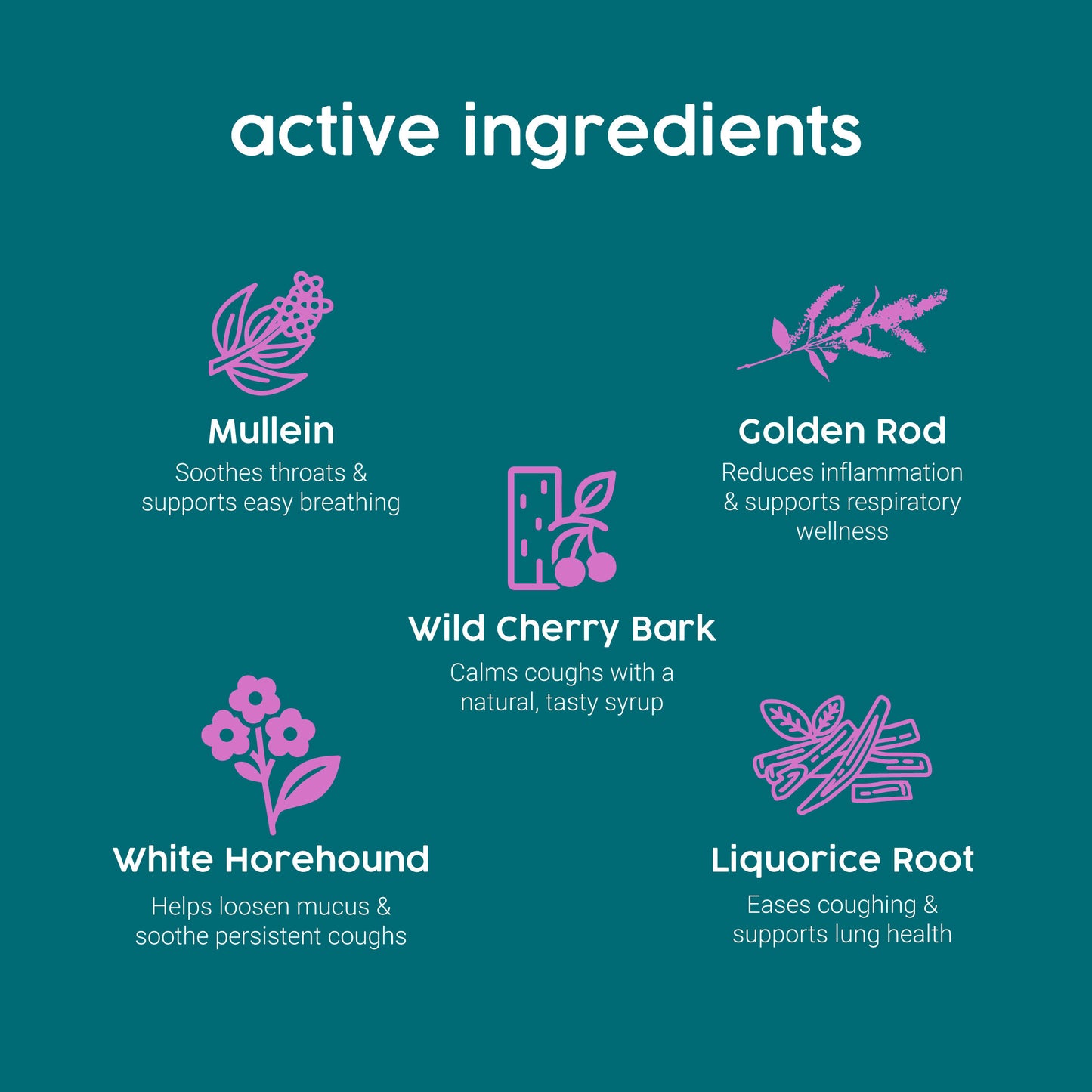 List of active ingredients with corresponding icons and descriptions on a teal background