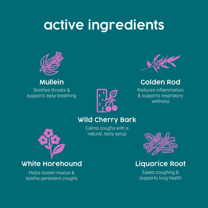 List of active ingredients with corresponding icons and descriptions on a teal background