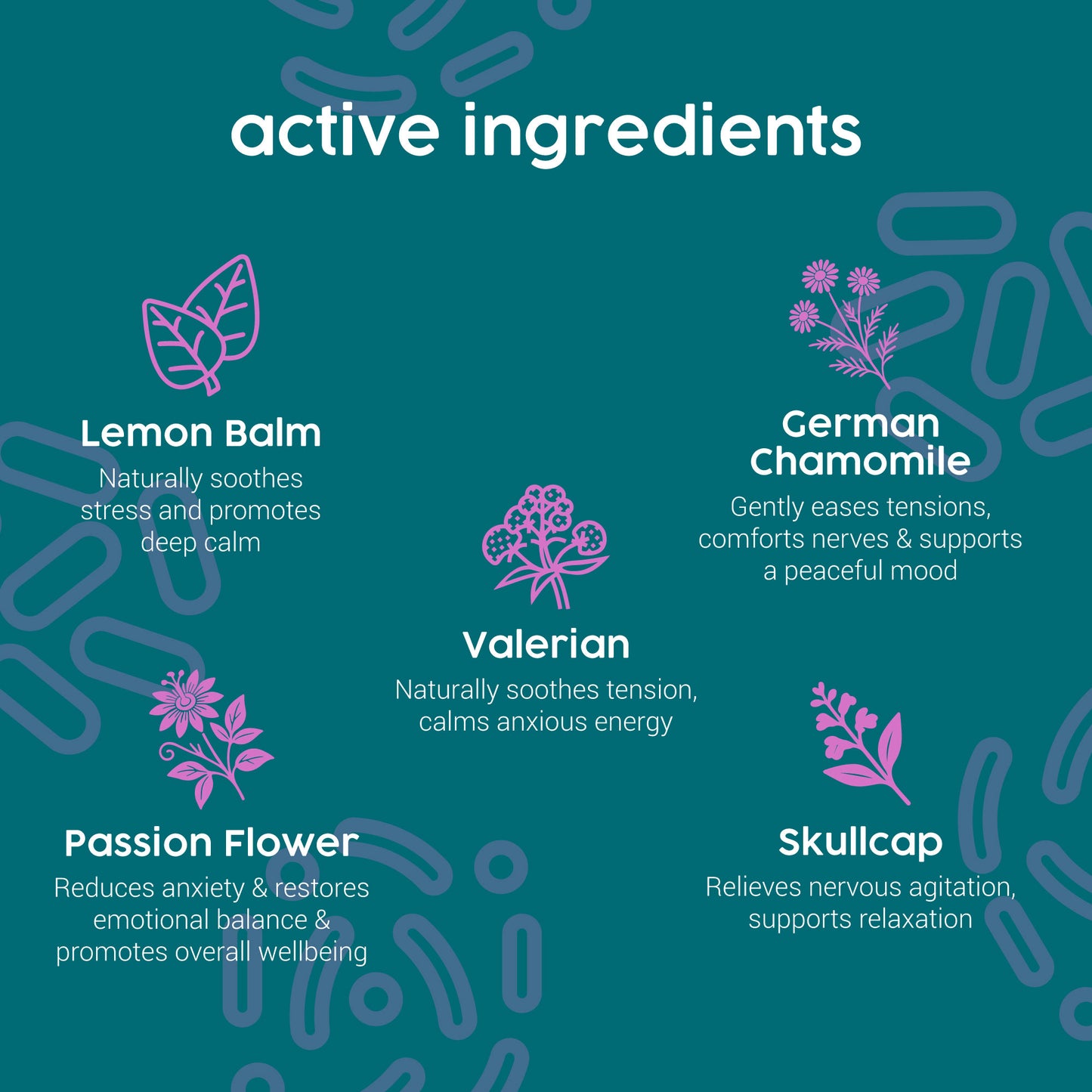 ProKopp Valerian Dog Calming Drops –  Herbal Anxiety & Stress Relief for Dogs | 50ml