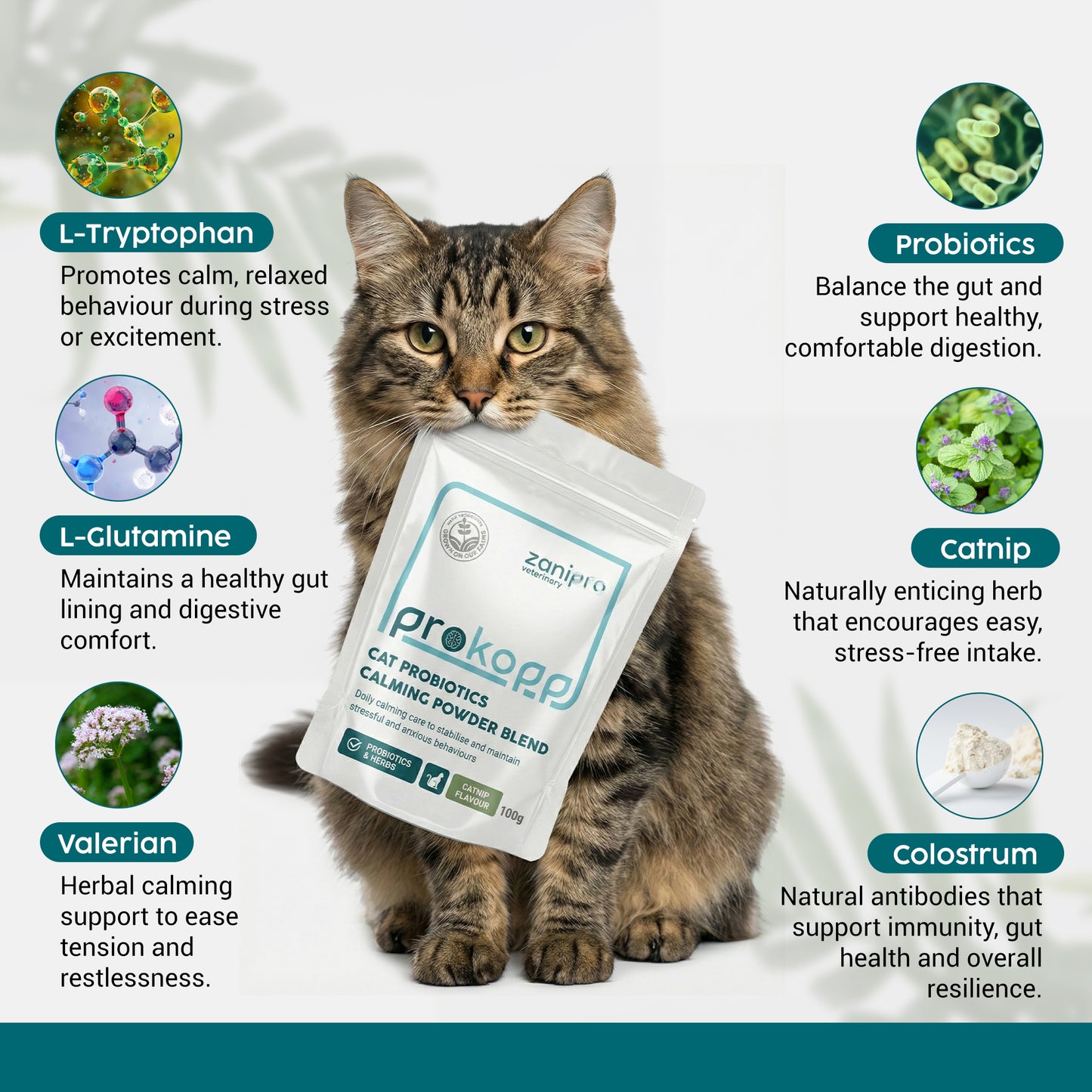 Cat Calming Powder – Anxiety & Stress Relief with L-Tryptophan & Probiotics (100g)