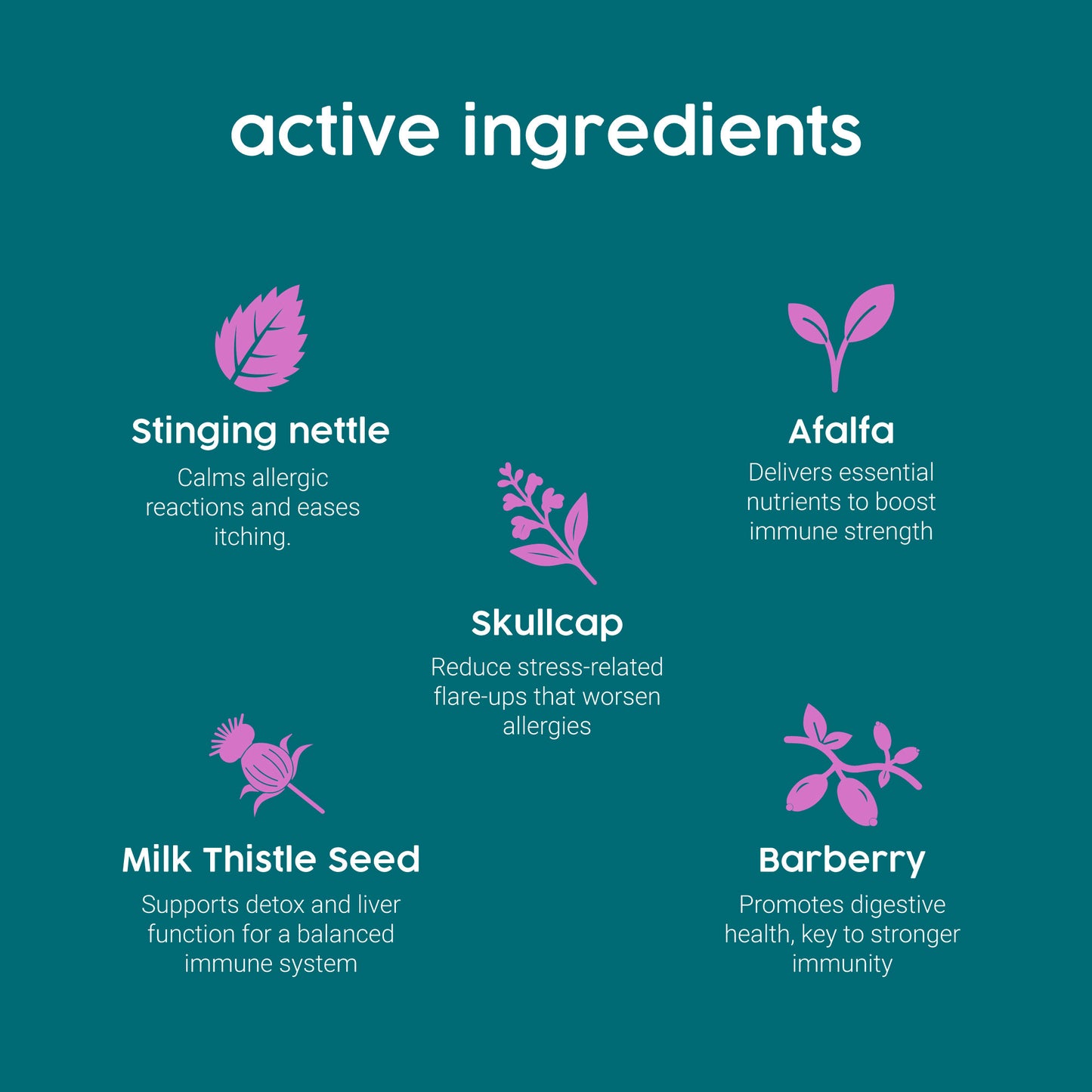 ProKopp Itchy Dog Skin Relief – Natural Herbal Anti-Itch Treatment for Dogs & Cats, Allergy & Skin Irritation Support | 50ml