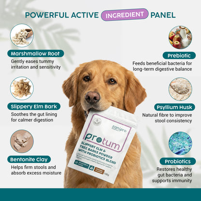 Slippery Elm & Tree Barks Probiotic Powder for Dogs & Cats – Gut & Digestive Support (100g)