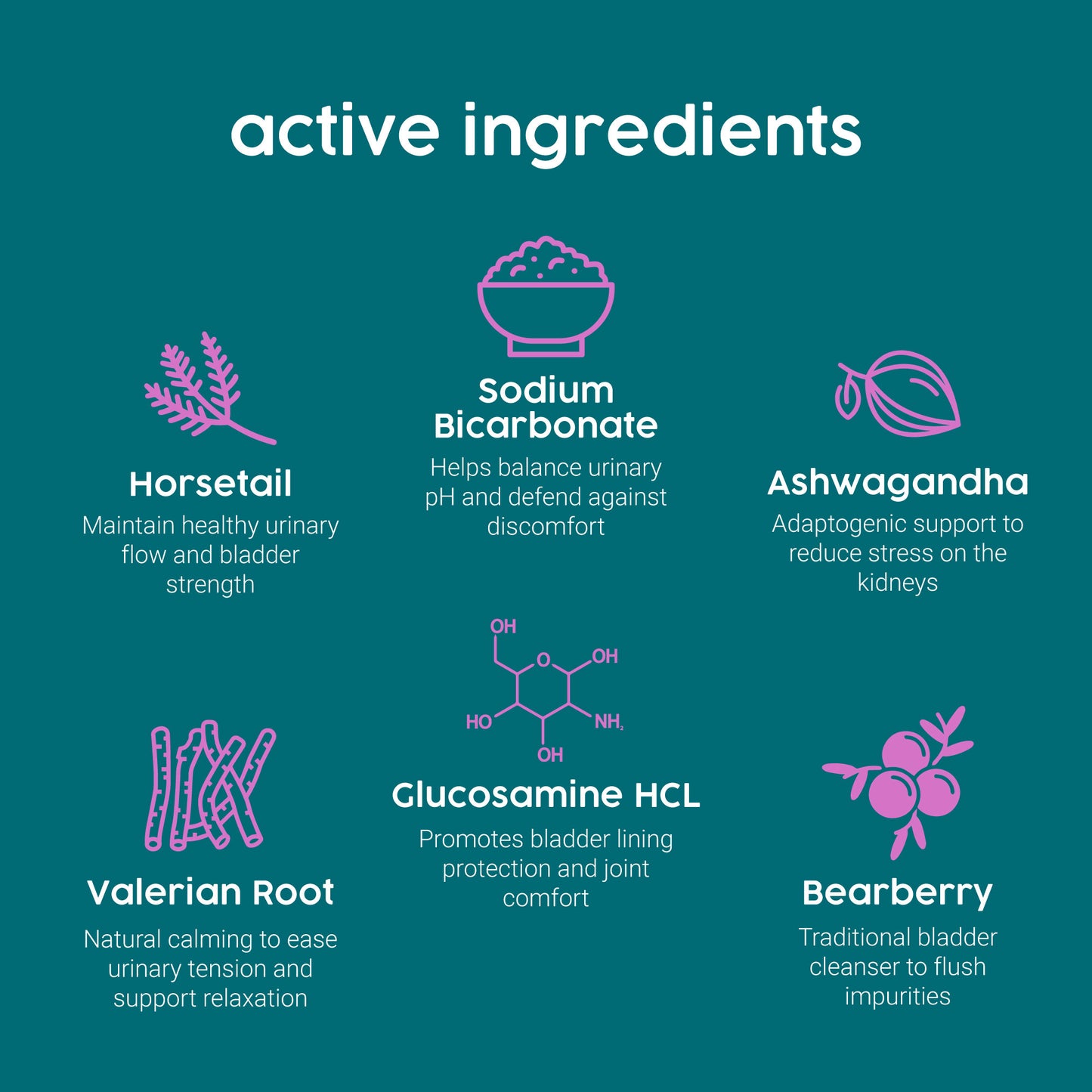 ProKopp Urinary Tract Infection Treatment for Dogs & Cats – Herbal Kidney & Bladder Support Drops, Prevent Incontinence & Bladder Stones | 50ml