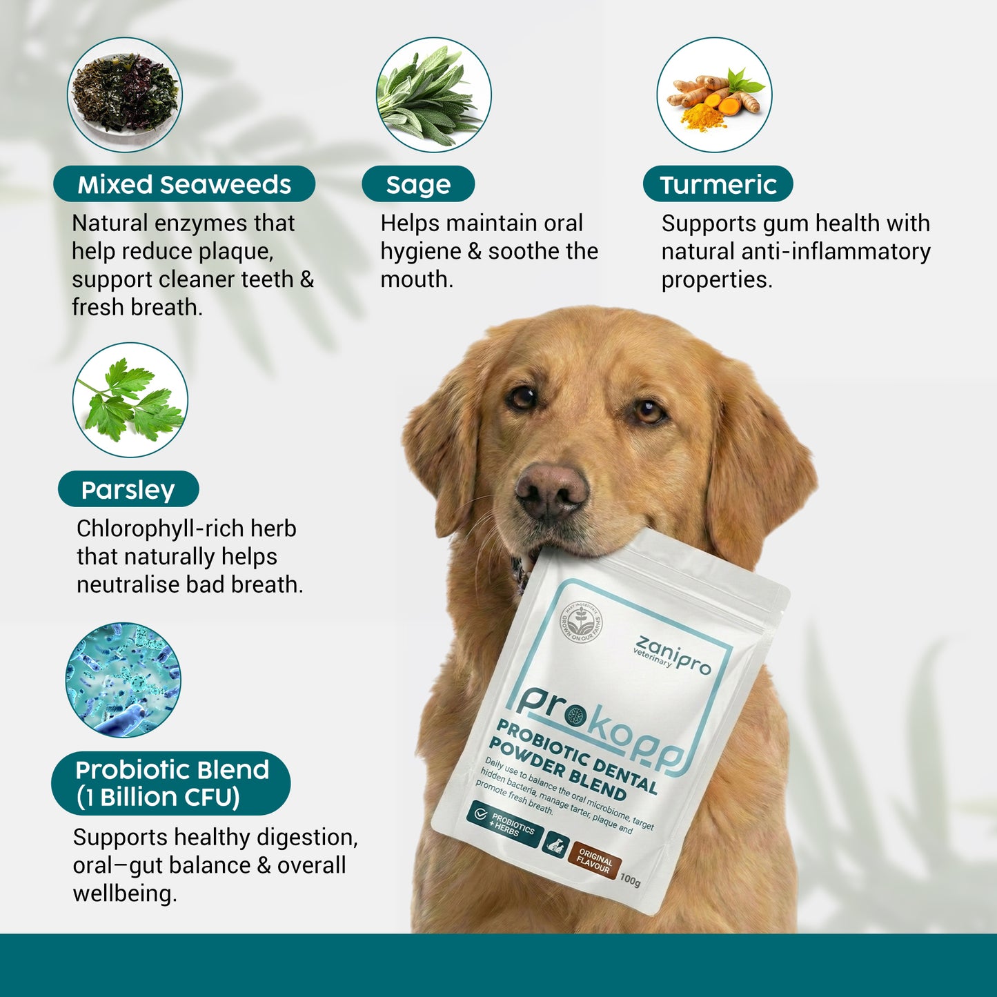 Dental Powder for Dogs & Cats – Natural Plaque & Breath Support (100g)