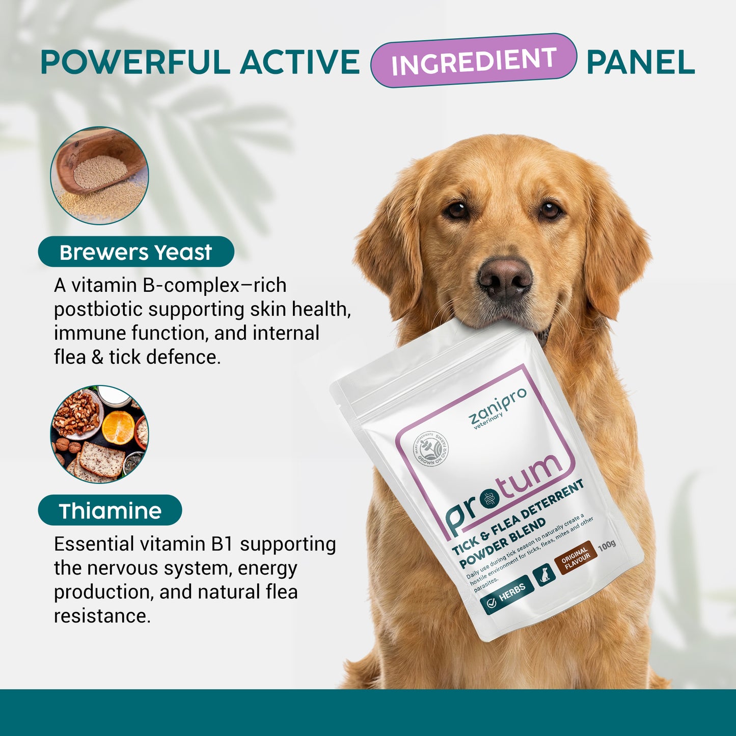 Zanipro Natural Tick & Flea Support Powder for Dogs | Thiamine & Brewer’s Yeast | 100g
