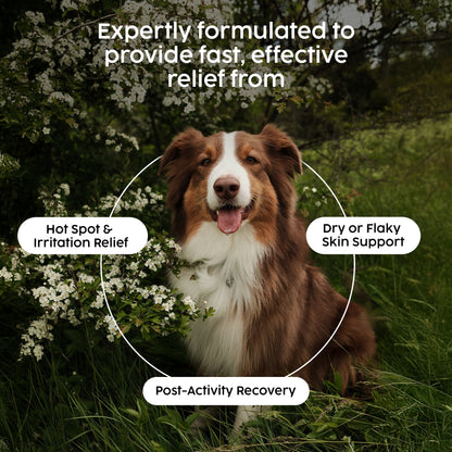 Aloe Vera Gel for Dogs – Itchy Skin, Muscle & Joint Comfort (250ml)