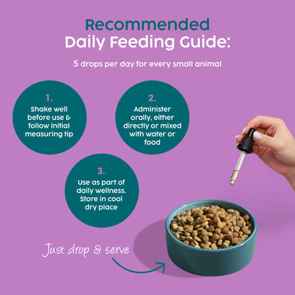 Joint Supplement Drops for Rabbits & Small Animals – Glucosamine & MSM (30ml)