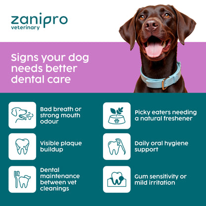 Dental Powder for Dogs & Cats – Natural Plaque & Breath Support (100g)