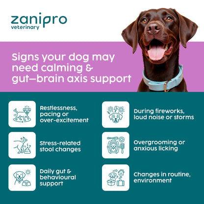 Dog Calming Powder – Natural Anxiety & Stress Relief – Beef Flavour (100g)