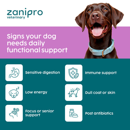 Zanipro veterinary with a dog and signs of daily functional support needs.